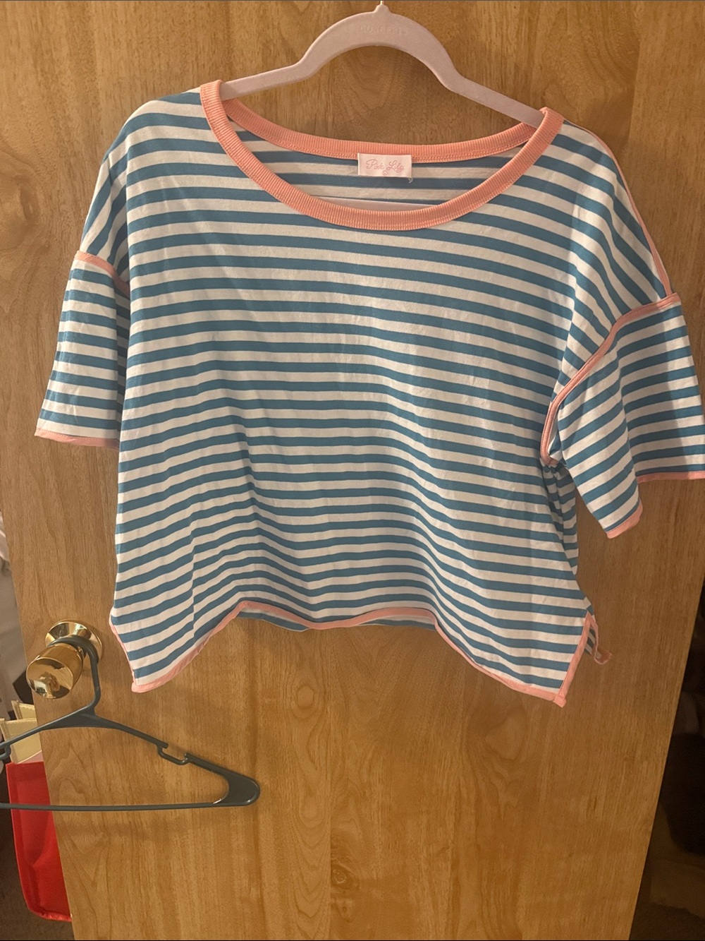 Striped Blue & Pink Cropped Tee